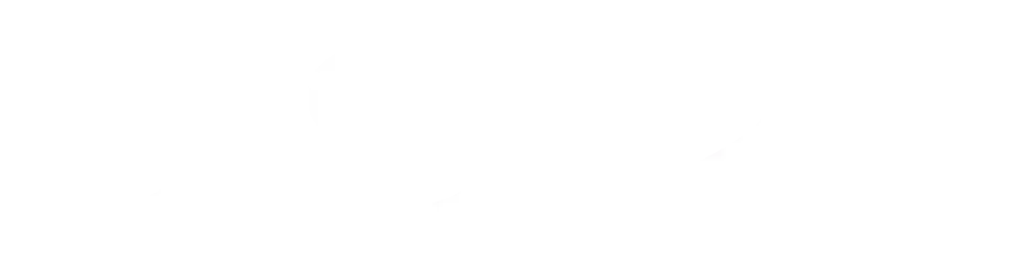 CIS27 Logo
